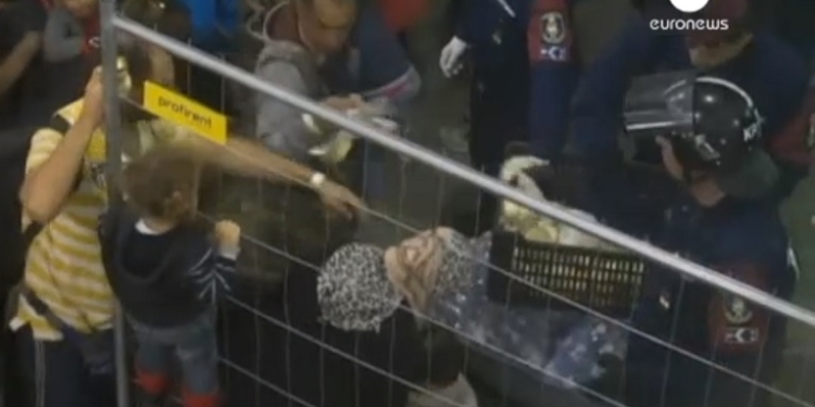 В Венгрии мигрантов кормят, как животных в зоопарке