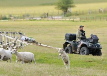 Возле Стоунхенджа нашли еще один “парк камней”, возраст которых 4,5 тыс.лет