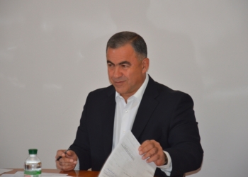 Гранатуров пошлет своего заместителя в Батуми, чтобы наладить сотрудничество со столицей Аджарии, а также ждет инвестиций в Николаев от Турции и Азербайджана