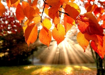 Достаем купальники? Синоптики прогнозируют жаркое «бабье лето»