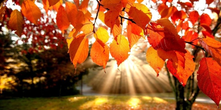 Достаем купальники? Синоптики прогнозируют жаркое «бабье лето»