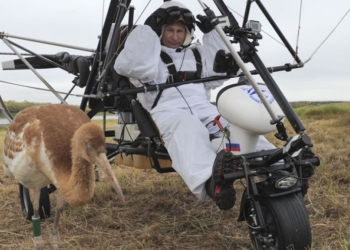 Окружают. Путин построит авиабазу в Беларуси