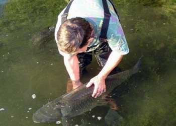 Начальником Николаеврыбохраны назначен Александр Каражей