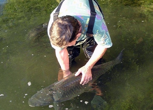 Начальником Николаеврыбохраны назначен Александр Каражей