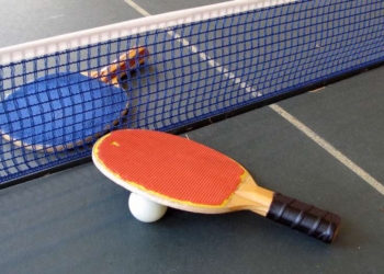 Двое николаевских дефлимпийцев вернулись из Австрии с наградами высшей пробы