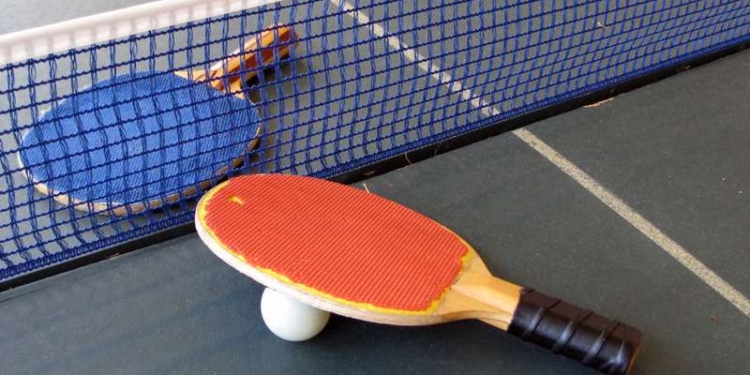 Двое николаевских дефлимпийцев вернулись из Австрии с наградами высшей пробы