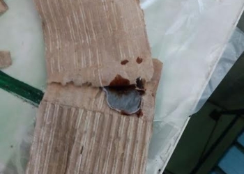 В Ольшанскую исправительную колонию пытались передать запрещенные предметы в упаковке от лампочки