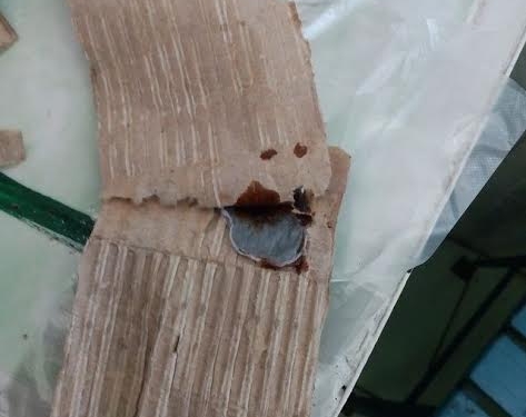 В Ольшанскую исправительную колонию пытались передать запрещенные предметы в упаковке от лампочки