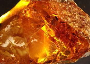 Подноготная янтарной контрабанды. Как живут государственные эксперты: Bentley Continental, Vertu… (ФОТО)