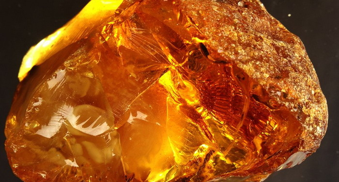 Подноготная янтарной контрабанды. Как живут государственные эксперты: Bentley Continental, Vertu… (ФОТО)