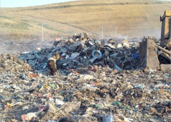 Стоимость строительства забора вокруг полигона ТБО под Николаевом за год выросла в 2 раза, но Департамент ЖКХ до сих пор не может провести тендер