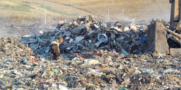 Стоимость строительства забора вокруг полигона ТБО под Николаевом за год выросла в 2 раза, но Департамент ЖКХ до сих пор не может провести тендер
