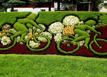 Ленинский район на содержание зеленых насаждений до конца года выделил 500 тысяч гривен