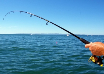 В Украине будет создан рыбный патруль, который заменит рыбинспекцию