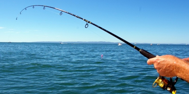 В Украине будет создан рыбный патруль, который заменит рыбинспекцию