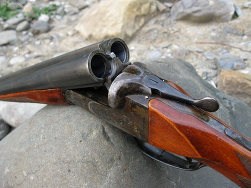 В Винницкой области неизвестные расстреляли стаю лебедей 1