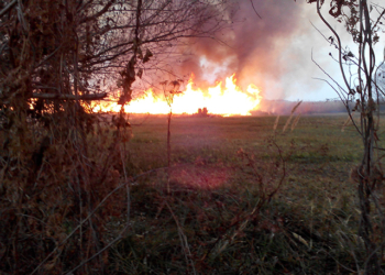 На Николаевщине загоревшийся камыш чуть не сжег 4 жилых дома