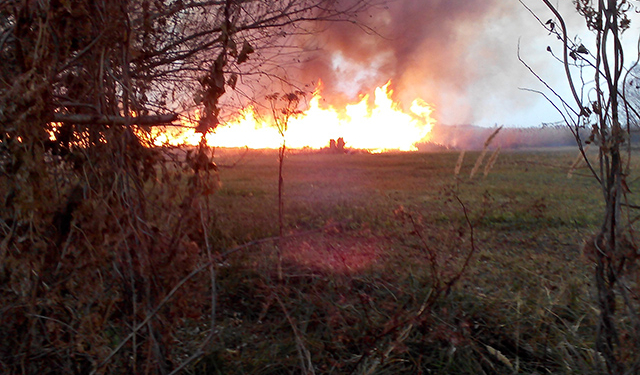 На Николаевщине загоревшийся камыш чуть не сжег 4 жилых дома