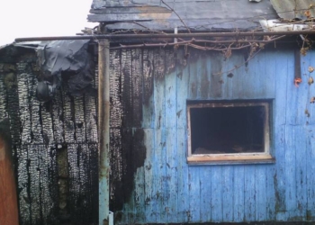 В Николаеве сгорела баня, хозпостройка и клетка с кроликами