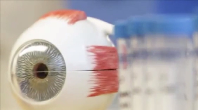 Компания Google запатентовала революционное ноу-хау – умные линзы