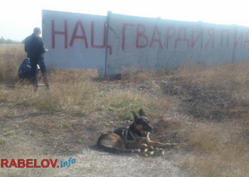 Сторонники фейковой «Новороссии» не успокаиваются: в Корабельном районе Николаева снова появились их «художества»