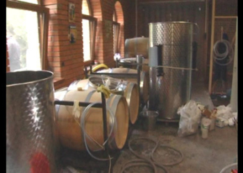 В Очаковском районе предприятие не только умыкнуло из бюджета 400 тыс.грн., а и подпольное винодельческое производство организовало