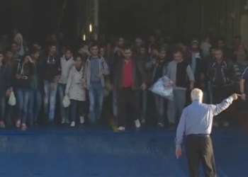 Масштабы торговли фальшивыми документами для беженцев уже превышают объемы торговли наркотиками