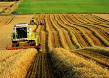 «Доля РФ в общем экспорте сельхозпродукции из Украины может быть снижена до нуля» –  министр АПК Павленко 