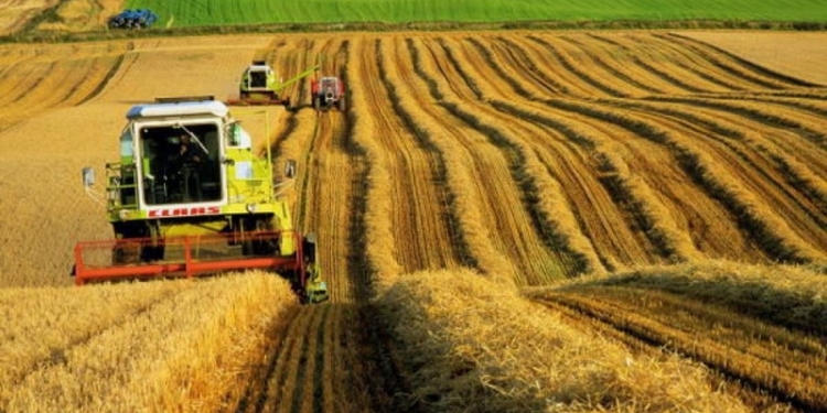 «Доля РФ в общем экспорте сельхозпродукции из Украины может быть снижена до нуля» –  министр АПК Павленко 