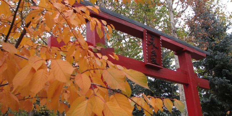 В Николаевском зоопарке не хватает рук, а надо убрать опавшие листья