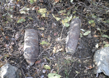 Житель Николаевщины пас скот и нашел артснаряды