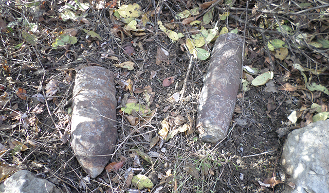 Житель Николаевщины пас скот и нашел артснаряды