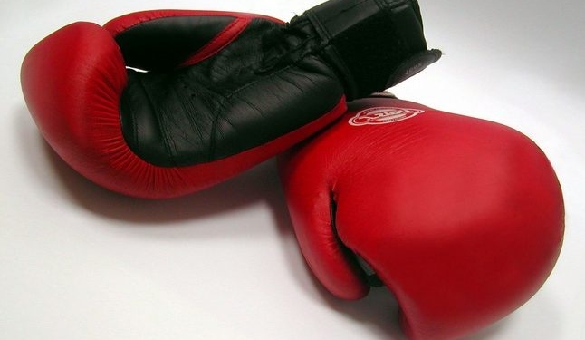 Украинец Постол стал чемпионом мира по боксу по версии WBC