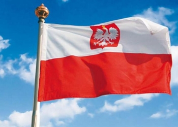 В Польше началось обучение украинских военных инструкторов