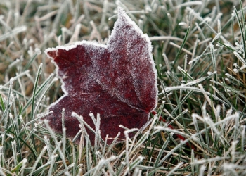 В Николаеве погода испортится 8 октября: обещают заморозки