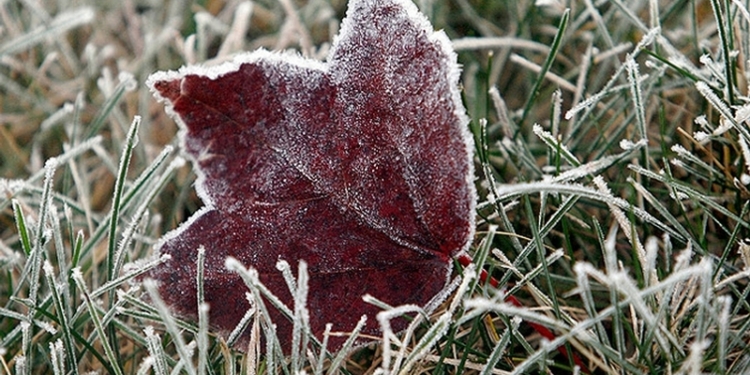 В Николаеве погода испортится 8 октября: обещают заморозки