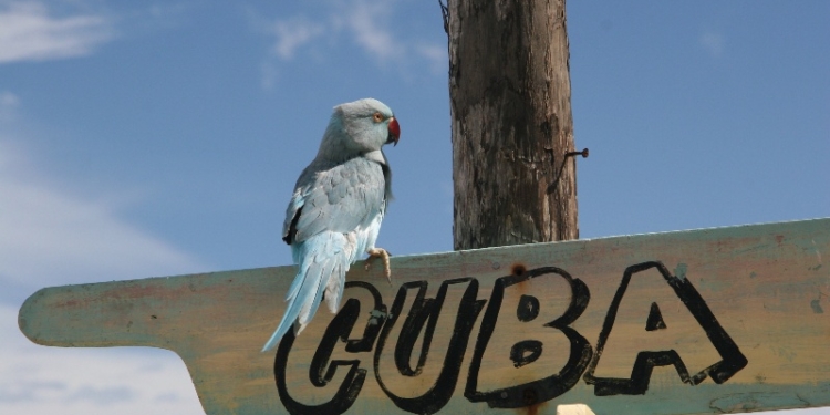 Куба получит от России €1,2 миллиарда на строительство ТЭС