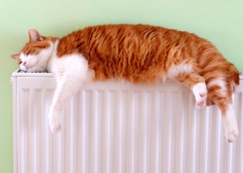 Сегодня стартует отопительный сезон в Николаеве