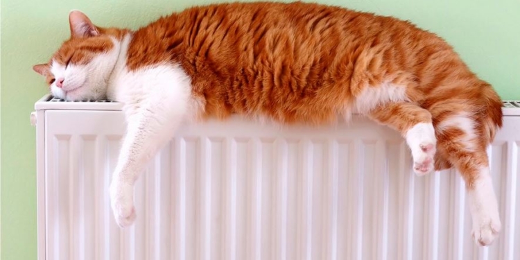 Сегодня стартует отопительный сезон в Николаеве