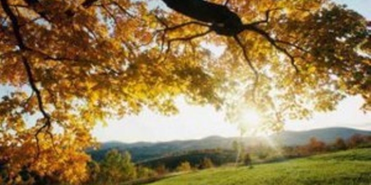 Завтра в Украине сохранится теплая погода – на юге страны температура воздуха до +24 градусов