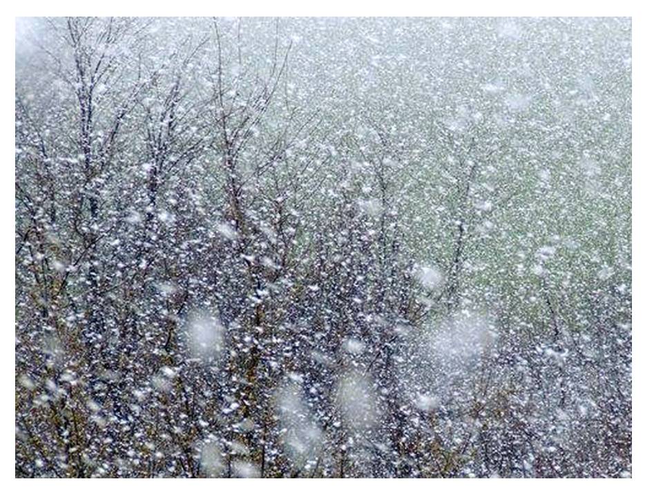 Украинцам обещают похолодание и небольшой снег 1