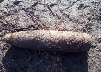 Взрывоопасные находки на Николаевщине: искали грибы и проводили земляные работы, а нашли артснаряды