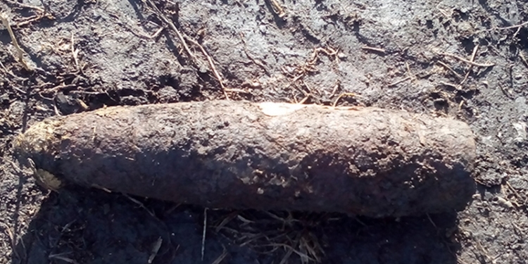 Взрывоопасные находки на Николаевщине: искали грибы и проводили земляные работы, а нашли артснаряды