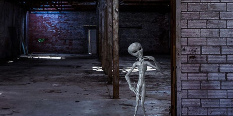 Нарочно не придумаешь: консервированные и сушеные инопланетяне появились в новосибирском музее