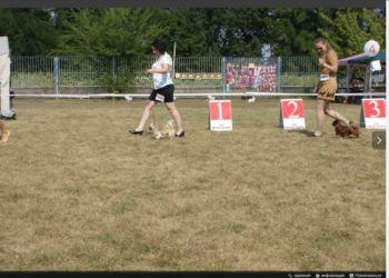 “Козырная” карта бита. Чернуху на Сенкевича на “Интере” развенчали телезрители