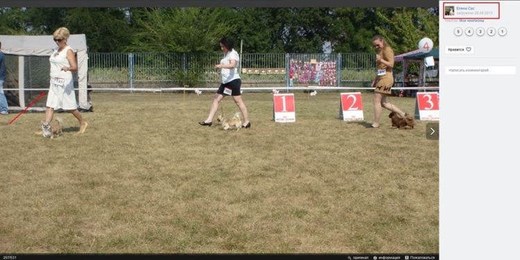 “Козырная” карта бита. Чернуху на Сенкевича на “Интере” развенчали телезрители