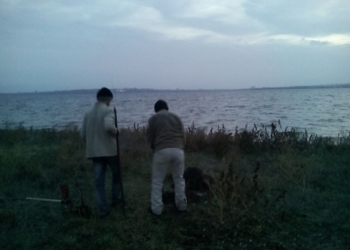 В Николаеве активисты “застукали” незаконных “лесорубов” и…заставили их посадить новые деревья