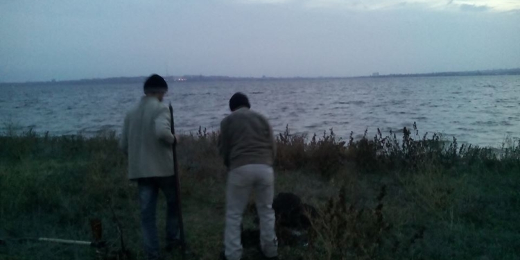 В Николаеве активисты “застукали” незаконных “лесорубов” и…заставили их посадить новые деревья