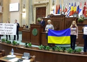 Украинская делегация устроила акцию протеста на Парламентской ассамблее Черноморского экономического сотрудничества