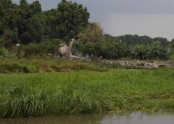 Разбился еще один самолет с российским экипажем и пассажирами